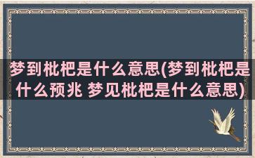 梦到枇杷是什么意思(梦到枇杷是什么预兆 梦见枇杷是什么意思)